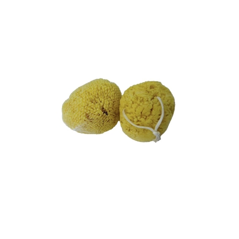 Žlutá houba pacifická 11-12 cm s provázkem