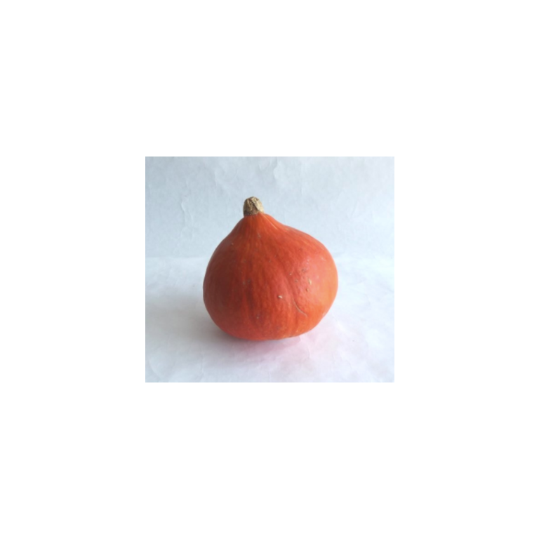 Snímek obrazovky 2020-11-19 v 13.23.08.png