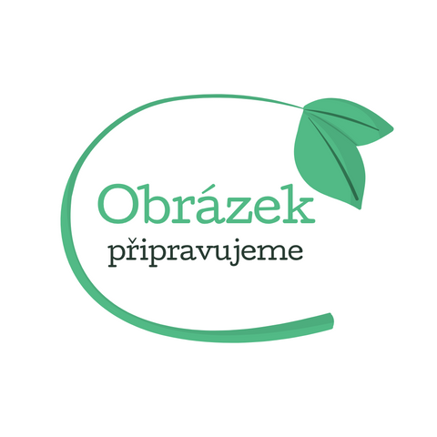 Terraz Spirulinové tagliatelle s červenou čočkou