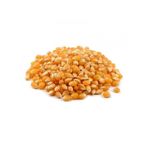 Kukuřice na popcorn BIO