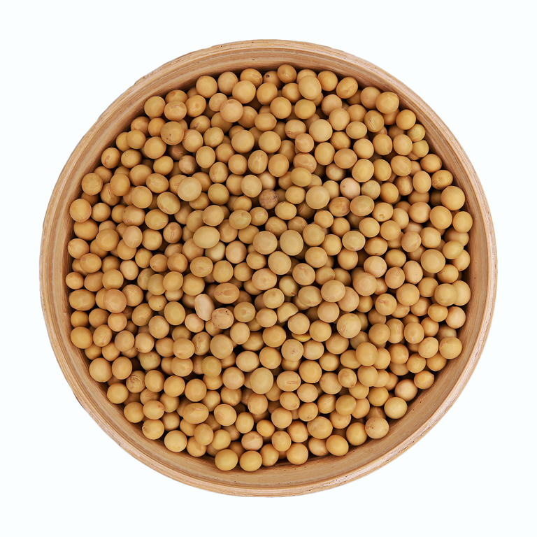 IMG_0061 kopie_sojoveboby.jpg