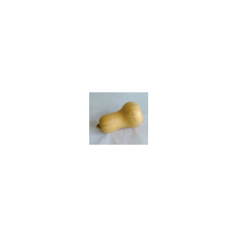 Snímek obrazovky 2020-11-19 v 10.42.46.png